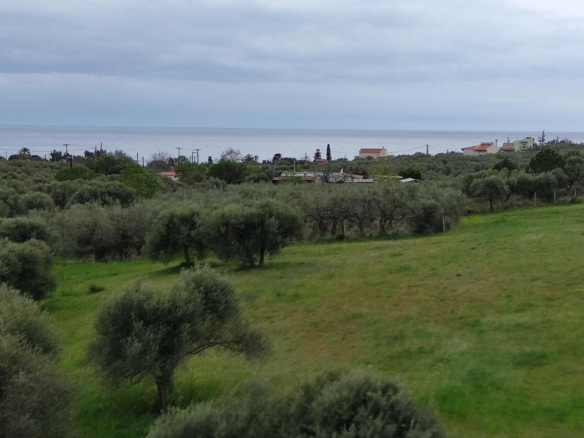 Villa Onari Alexandroupoli Exterior photo